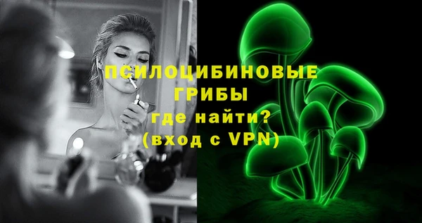 гашик Абаза
