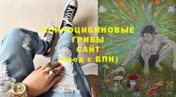 ПСИЛОЦИБИНОВЫЕ ГРИБЫ Абинск