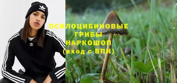гашик Абаза