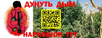 прущие крисы Абакан
