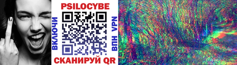 Псилоцибиновые грибы Psilocybine cubensis  купить наркотик  blacksprut tor  Александров 